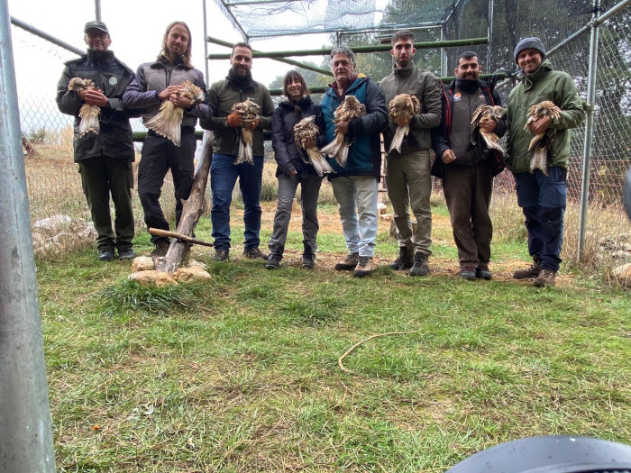 Equipo de GREFA y colaboradores en el operativo de marcaje con GPS, con algunos de los milanos reales a los que se le colocó el emisor.