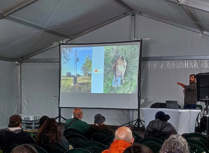 Conferencia de nuestro compañero Juan José Iglesias sobre la recuperación del águila de Bonelli en la zona centro peninsular, dentro del programa de Ornitocyl.