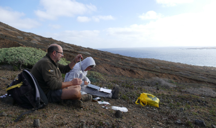 Dos miembros de GREFA realizan medidas biométricas a una musaraña capturada en Montaña Clara.