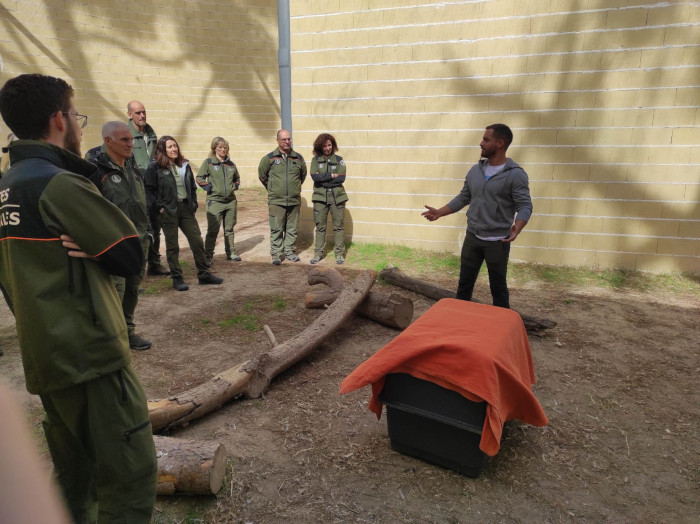 Curso de manejo de fauna salvaje impartido por el Equipo de Rescate de GREFA a los Agentes Forestales de la Comunidad de Madrid.