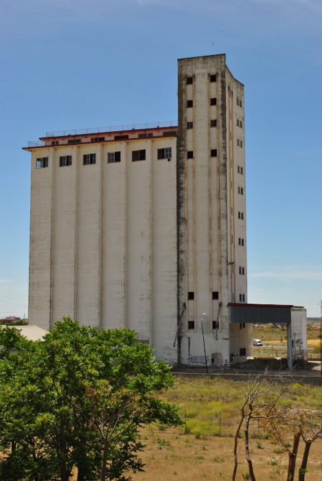 El silo de Navalcarnero alberga la segunda mayor colonia de cernícalo primilla de la Comunidad de Madrid.