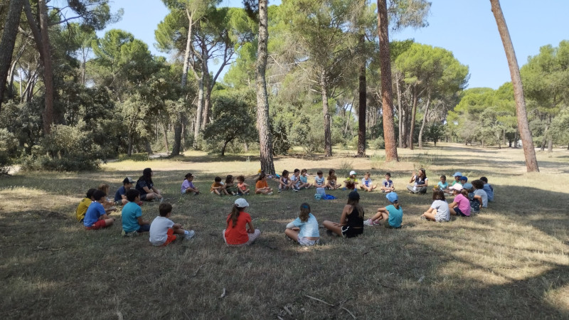 Grupo de niñas y niños durante una actividad programada en un campamento de verano de GREFA.
