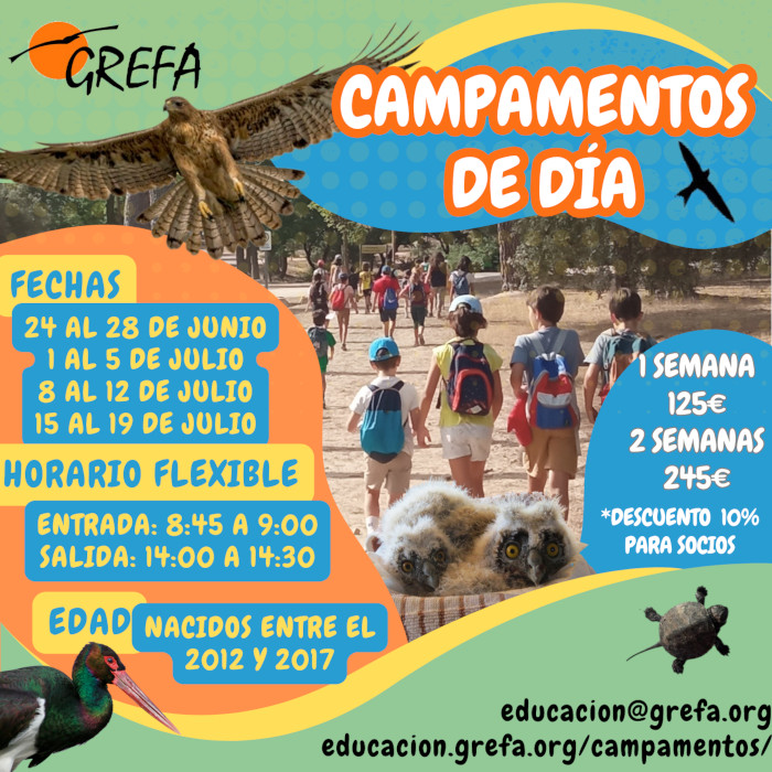 Cartel anunciador de los Campamentos de Verano 2024 de GREFA.