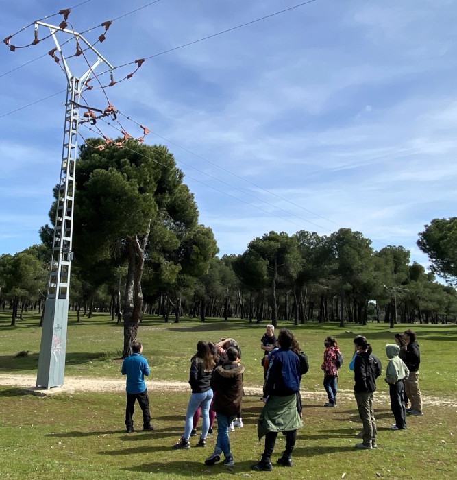 Salida de identificación de tendidos eléctricos corregidos.