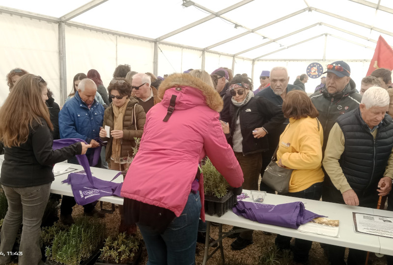 Momento de la entrega de plantas aromáticas en el punto de información de GREFA durante la celebración del Día de Castilla y León en Villalar de los Comuneros.