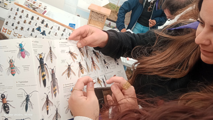 Los estudiantes de Erasmus aprendieron a diferenciar durante el desarrollo del foro algunas de las principales especies de insectos polinizadores.