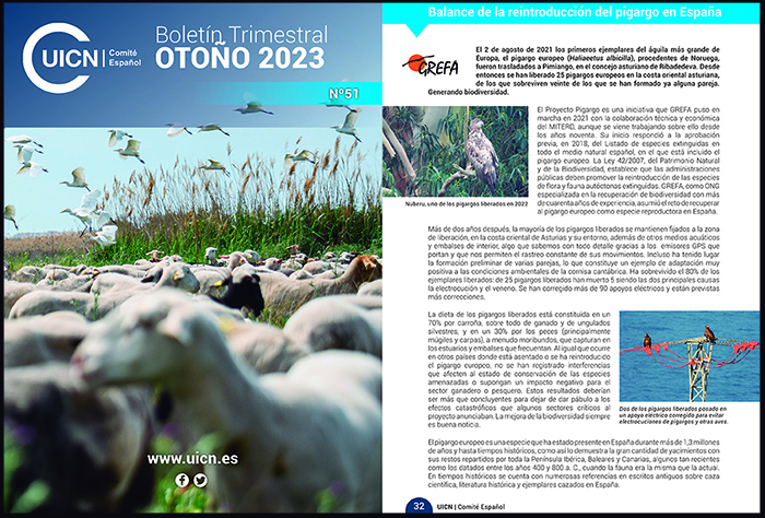 Portada del boletín 51 del Comité Español de la UICN y primera página del artículo del Proyecto Pigargo.