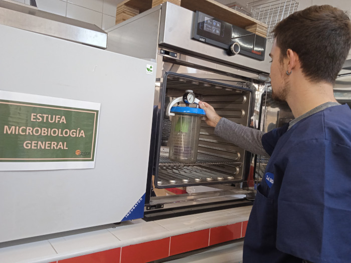 Incubación en el laboratorio de GREFA de los medios selectivos para bacterias del género Lactobacillus.