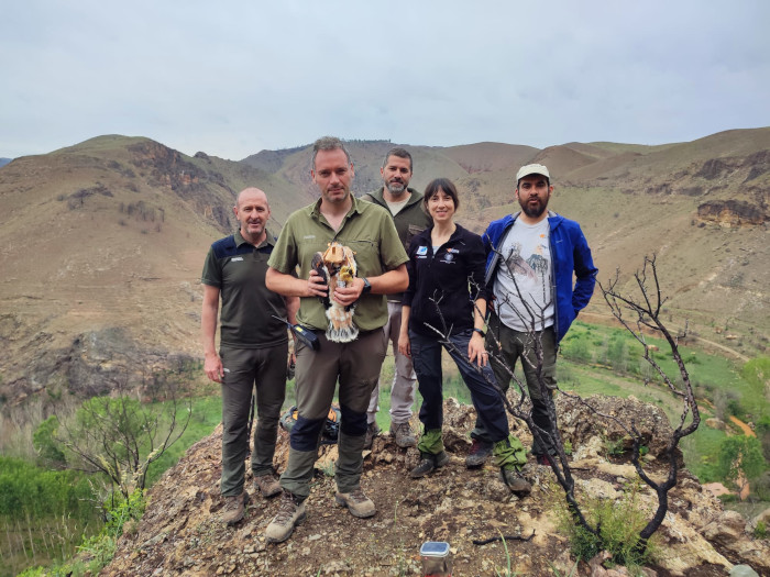 Foto del equipo de trabajo que intervino, formado por personal de SARGA, Agentes de Protección de la Naturaleza de Aragón y un técnico y una veterinaria de GREFA, junto con uno de los pollos de águila de Bonelli marcados con GPS