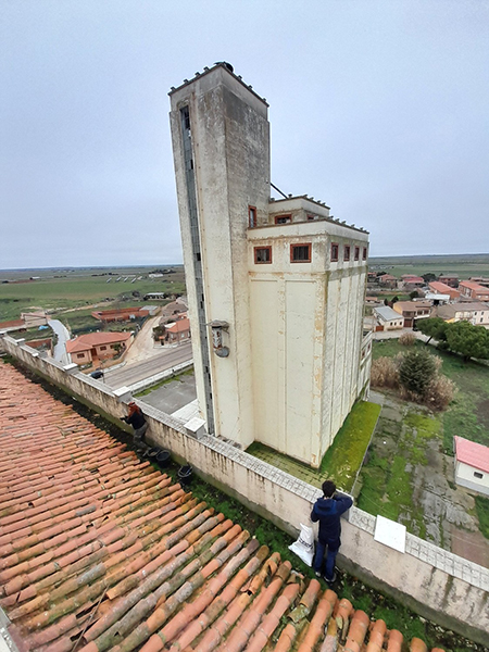 Silo de Villalpando, en el que una colonia de cernícalo primilla ocupa los nidales que hemos colocado.