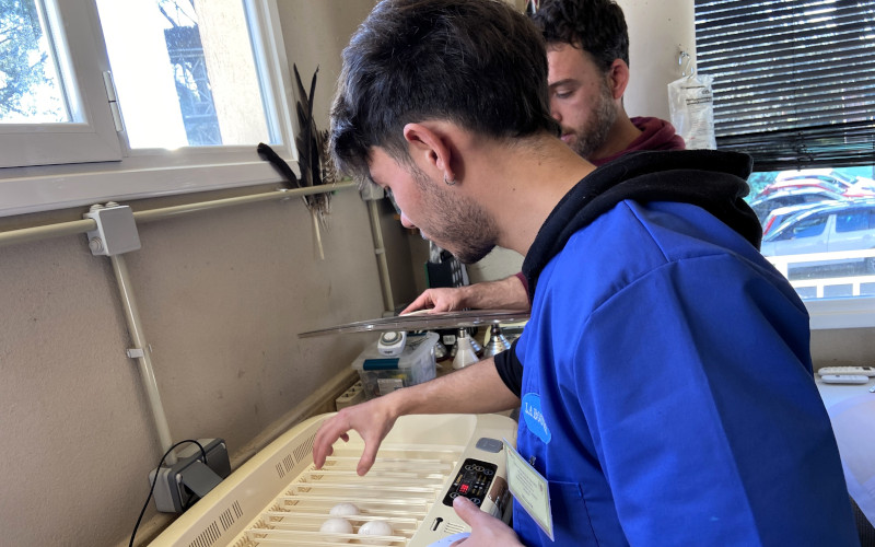 Alumno del curso en las instalaciones de cría en cautividad de GREFA.