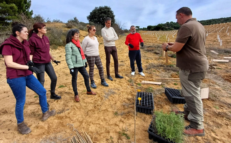 Los participantes en la jornada realizaron la plantación de especies vegetales melíferas.