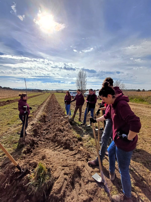 La jornada medioambiental incluyó la plantación de árboles frutales.