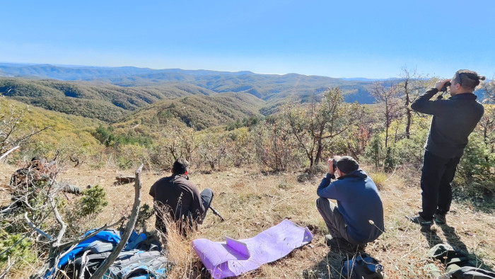 El equipo de seguimiento del proyecto trata de localizar a algunos de los buitres negros liberados en los Montes Ródopes.