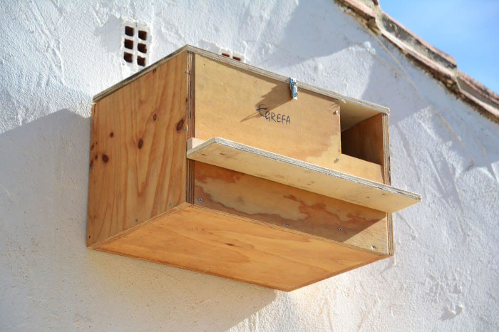 Una de las cajas nido aportadas por GREFA Andalucía, ya instalada. Foto: Juan Carlos Reina.