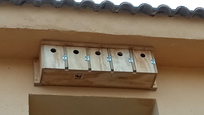 Cajas nido para gorriones bajo el alero del tejado de un edificio.