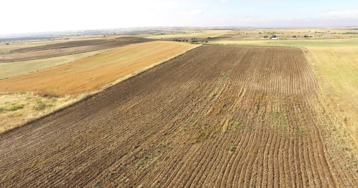 Panorámica fotografiada por un dron de la zona de La Sagra donde GREFA lleva a cabo el seguimiento reproductor del aguilucho cenizo (foto: Pepe Colsa).