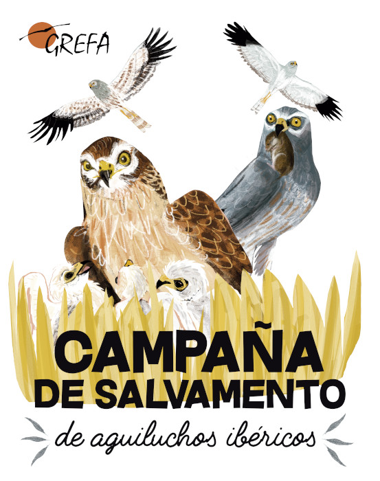 Cartel de la campaña de GREFA en favor de los aguiluchos ibéricos.