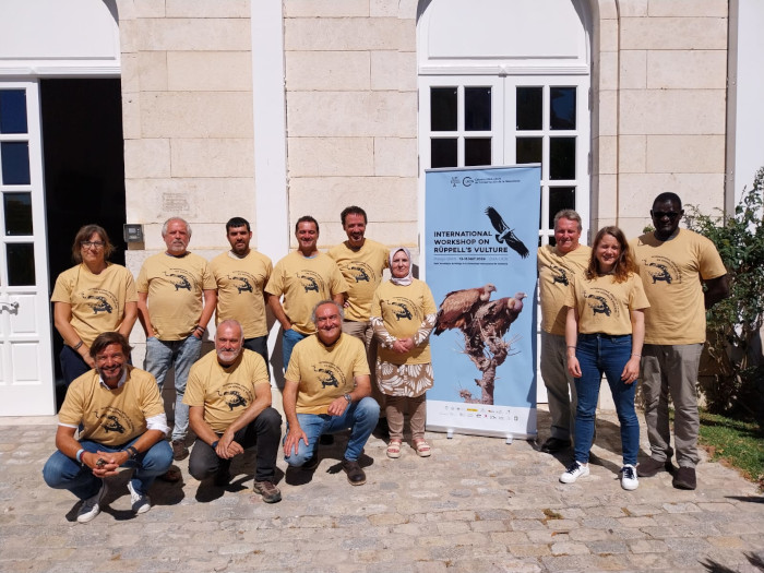 Algunos de los participantes en el workshop del buitre de Rüppell. De izquierda a derecha empezando por arriba: Helena Clavero (UICN-med); José Rafael Garrido (Junta de Andalucía); Juan José Iglesias (GREFA); Justo Martín (Wildlife Lab); Jorge Orueta (SeoBirdlife); Haféda Benmammar (Parque Nacional de Tlemcen), André Botha (Endangered Widlife Trust/IUCN SSC Vulture Specialist Group); Cloé Pourchier (Sahara Conservation); Martin Odino (The Peregrine Fund); José Tavares (VCF); Alejandro Onrubia (Fundación Migres) y Antonio Román Muñoz (Universidad de Málaga).