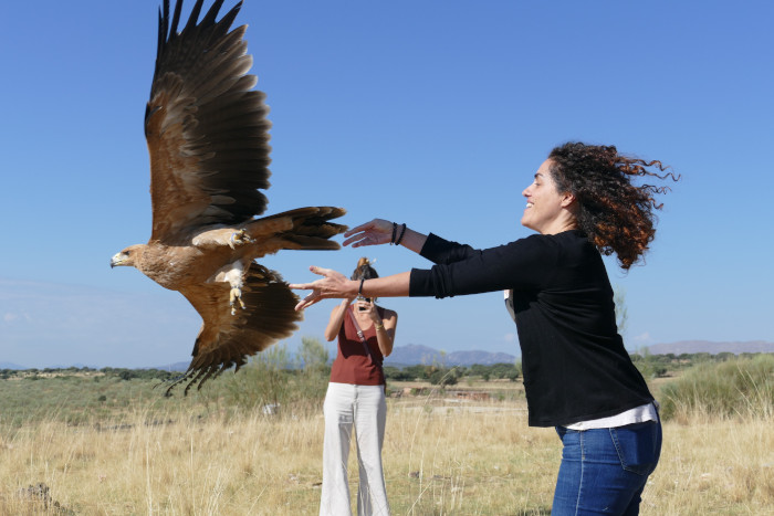 Momento de la liberación del águila imperial "Sol".