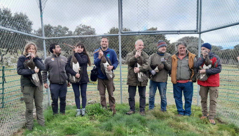 Miembros de FoResTas, procedentes de Cerdeña (Italia), y de GREFA, junto con otros participantes en la reciente introducción de cigüeñas negras en un recinto de presuelta de la Comunidad de Madrid.