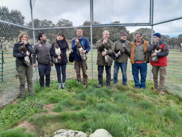 Foto de grupo durante la introducción de las cigüeñas negras en el recinto de presuelta, con las aves sujetadas por algunos de los participantes. 