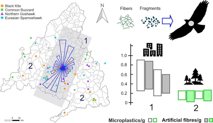 Figura sobre la dispersión de microplásticos desde la ciudad de Madrid extraída del artículo de “Science of the Total Environment”.