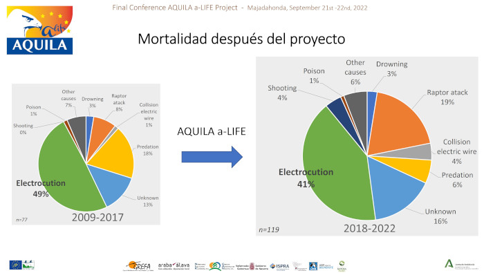 mortalidad bonellis