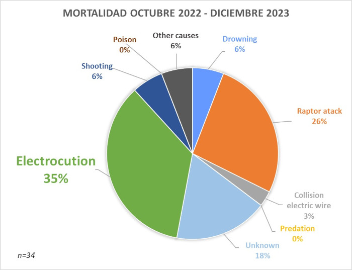 mortalidad bonellis