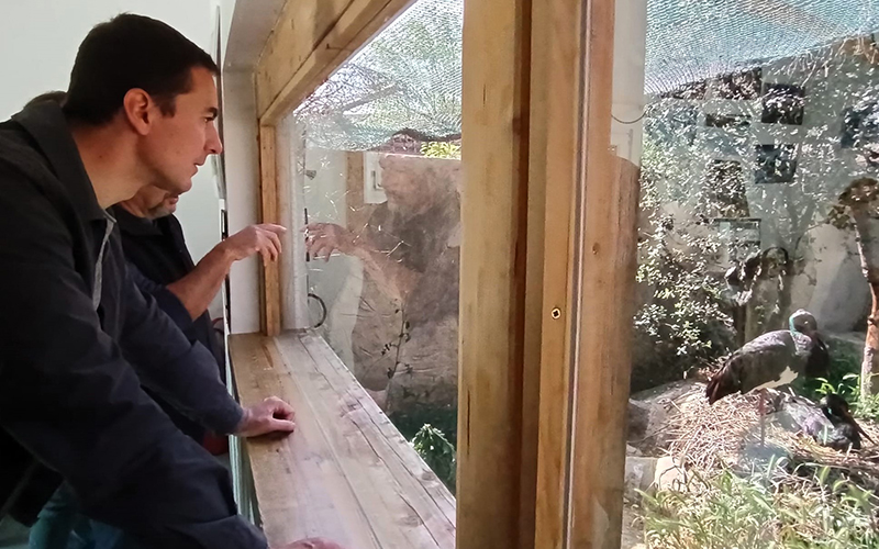 Juan Lobato, secretario general del PSOE de la Comunidad de Madrid, durante la visita a las instalaciones donde cría nuestra pareja de cigüeñas negras.