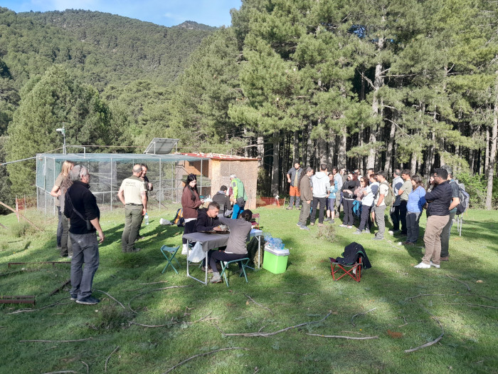Alumnos y profesores de un curso sobre proyectos con especies amenazadas observa el marcaje con GPS de los milanos reales. Al fondo, jaulón de aclimatación del proyecto.