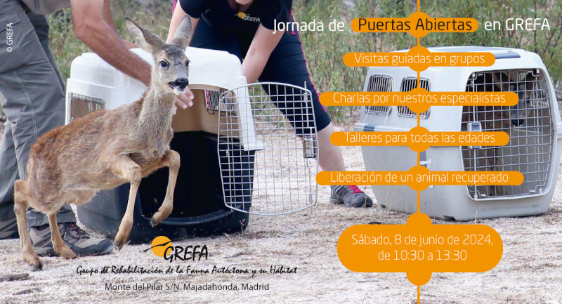 Tenemos todo preparado para la nueva edición de la Jornada de Puertas Abiertas de GREFA