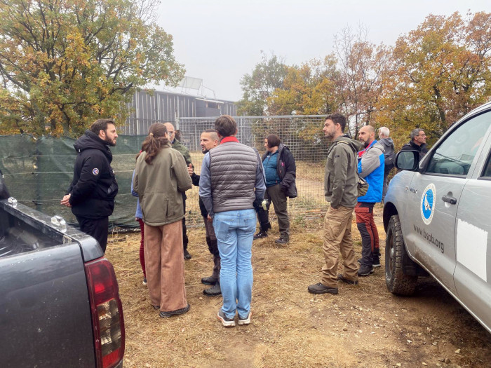 Visita a la zona de reintroducción del buitre negro en los Montes Ródopes, donde ha empezado a desarrollarse el proyecto LIFE Rhodope Vulture.