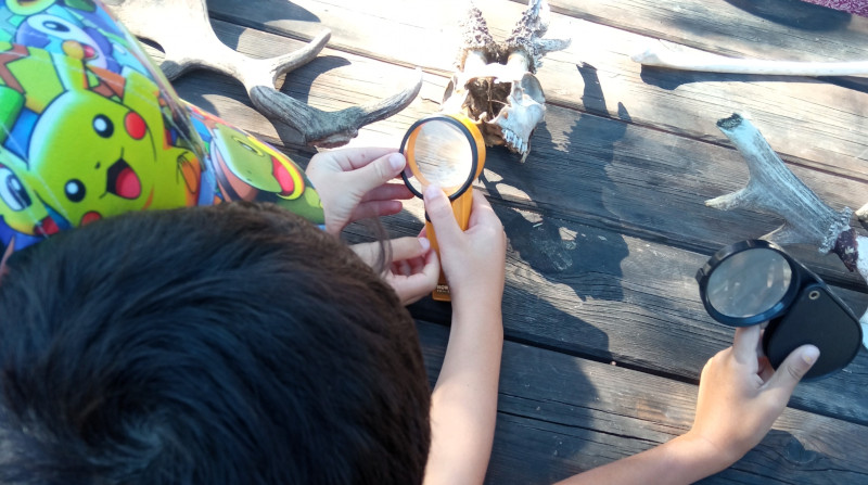 Niños en una actividad desarrollada durante una edición de los Campamentos de Verano.