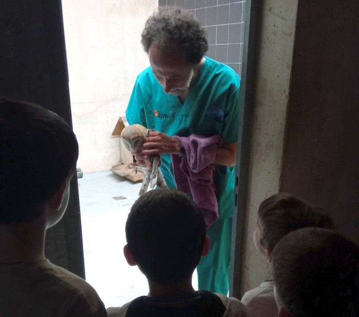 Niños observan una lechuza blanca en las instalaciones del Hospital de Fauna Salvaje de GREFA.