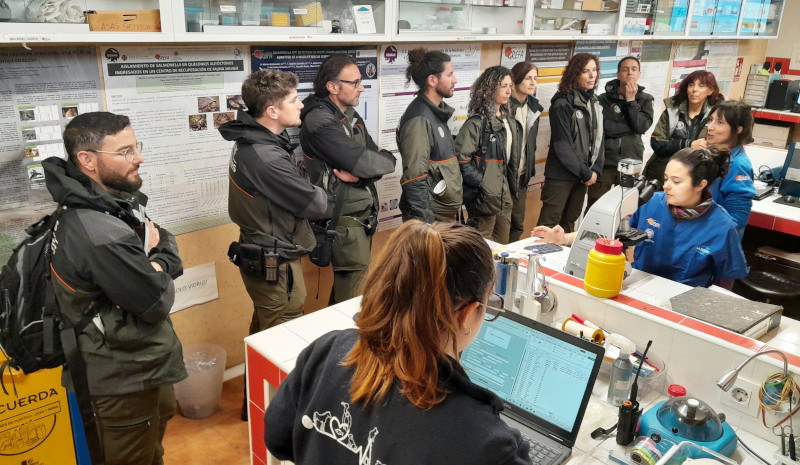 Los miembros del GIAM visitan el laboratorio del hospital de fauna de GREFA.
