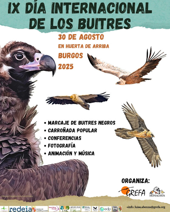 Cartel anunciador de la IX Fiesta del Buitre / Día Internacional de los Buitres. 