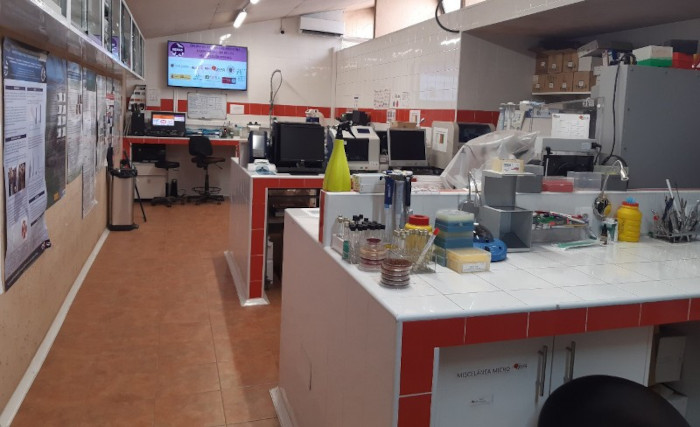 El laboratorio de GREFA es un referente en el diagnóstico e investigación de especies salvajes.