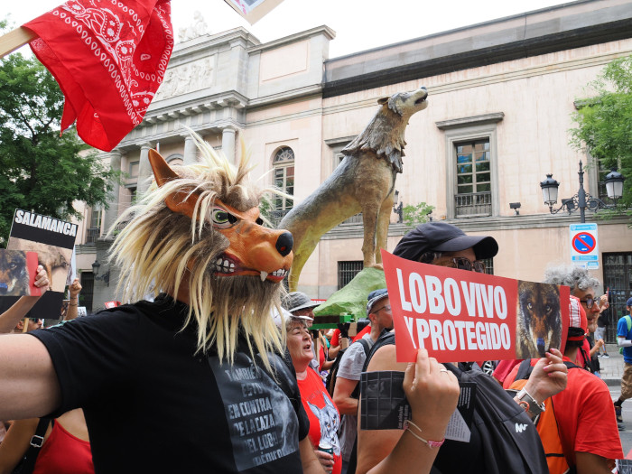 Otra imagen de la manifestación en defensa del lobo que recorrió las calles de Madrid. Foto: Javier Martín.