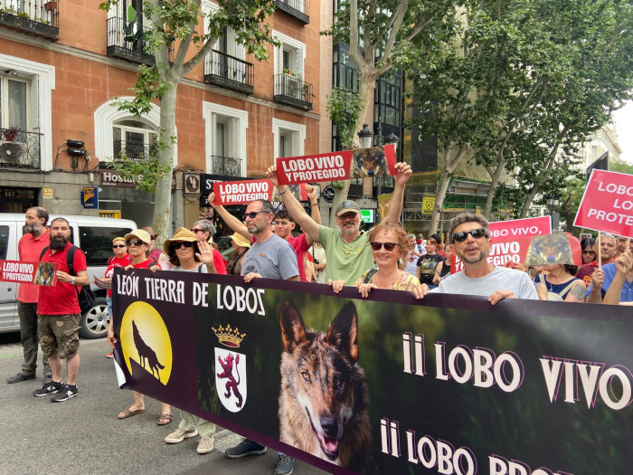  Voluntarias y colaboradores de GREFA durante la manifestación en defensa del lobo.