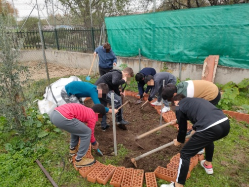 Escolares del CEIP “Miguel de Cervantes” (Collado Villalba, Madrid) construyen una charca en su colegio.