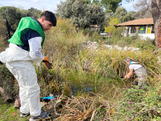 Mejora y limpieza de charcas en las instalaciones de GREFA.