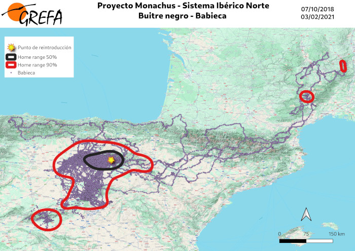Mapa con los movimientos realizados por "Babieca" desde su liberación en octubre de 2018 hasta que perdió su emisor en febrero de 2021.
