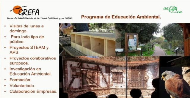 La participación de GREFA permitió mostrar al público asistente el Programa de Educación Ambiental de nuestra ONG.