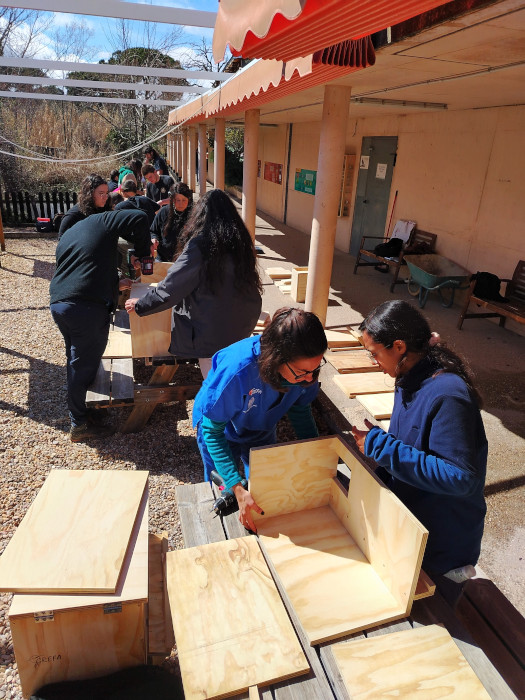 Alumnos del curso construyencajas nido de lechuza para el proyecto “Control biológico del topillo campesino” de GREFA.