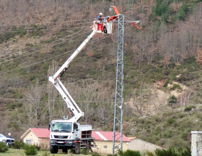 Operarios llevan a cabo correcciones de un apoyo eléctrico operativo en la misma zona donde ha sido desactivado otro tendido, acciones ambas destinadas a evitar electrocuciones de pigargos y otras aves.