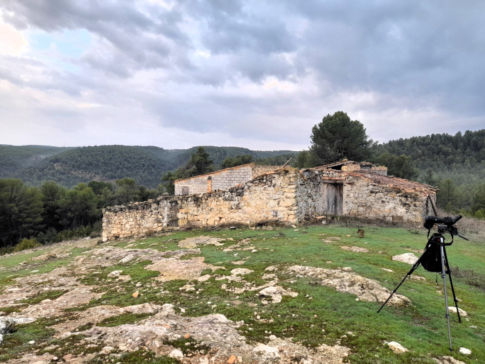 Uno de los puntos de observación de aves rapaces utilizado por el equipo de GREFA en las hoces del río Guadazaón (Cuenca).