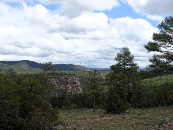 Paisaje de las hoces del Guadazaón.