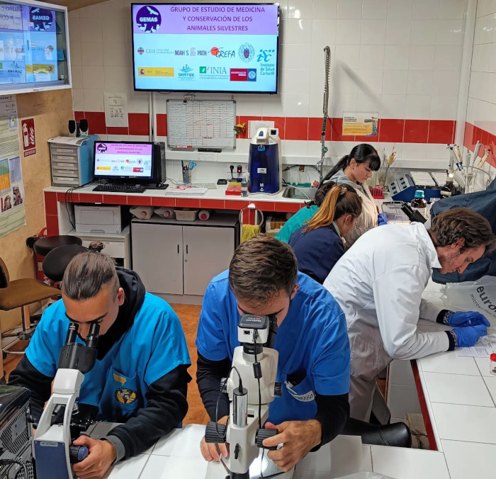 Alumnos de un curso hacen prácticas en el laboratorio de nuestro hospital de fauna.