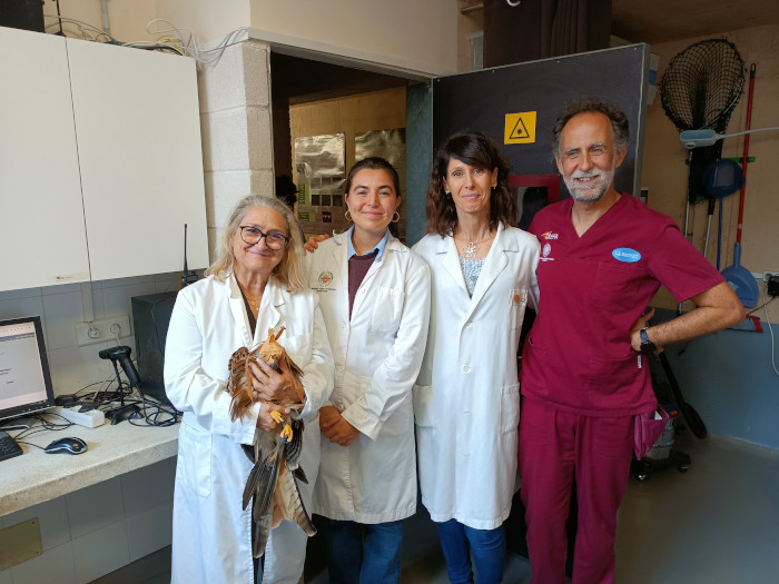 Casilda Rodríguez con "Casi" en el hospital de fauna de GREFA.